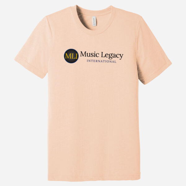 Unisex Triblend Short Sleeve Tee Thumbnail